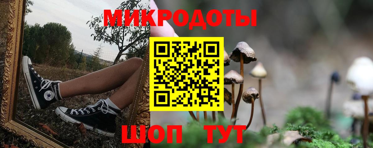 Галлюциногенные грибы Psilocybine cubensis  Псилоцибиновые грибы MAGIC MUSHROOMS  Вход с VPN  Краснокамск 
