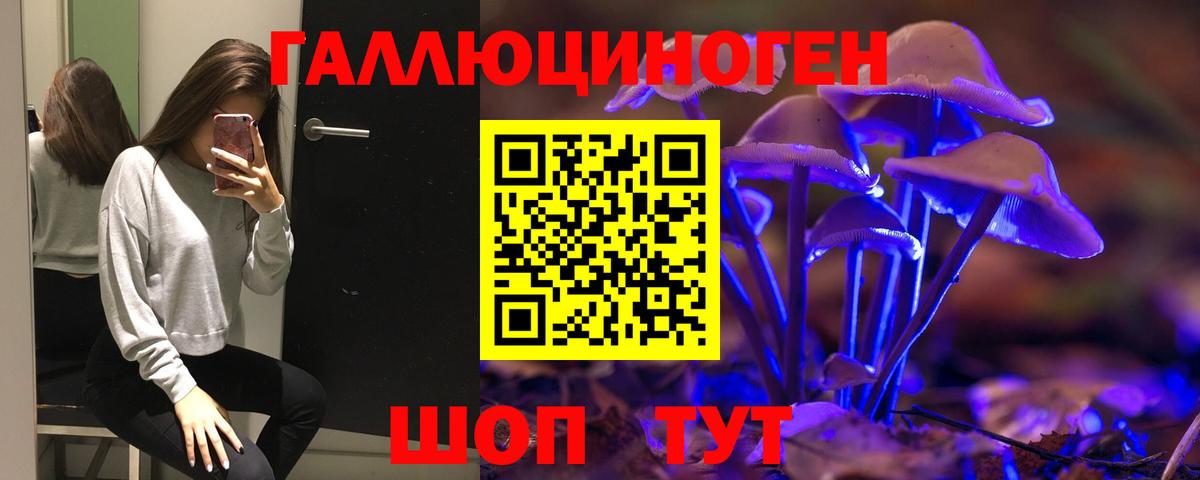 Псилоцибиновые грибы Psilocybe Краснокамск